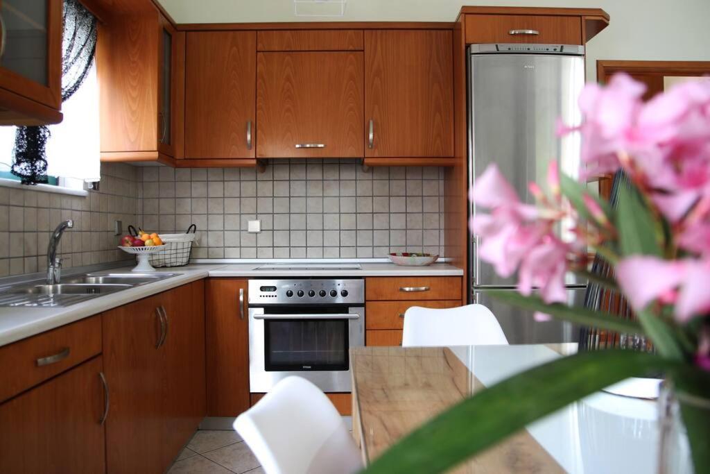 Anna Kavros Appartment 干尼亞 外观 照片